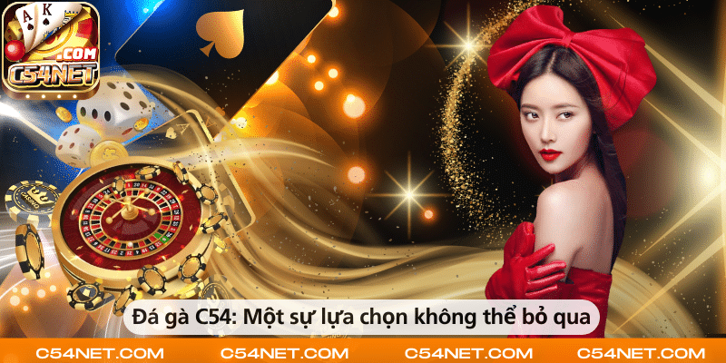 Đá gà C54 – Sự lựa chọn hấp dẫn không nên bỏ lỡ.